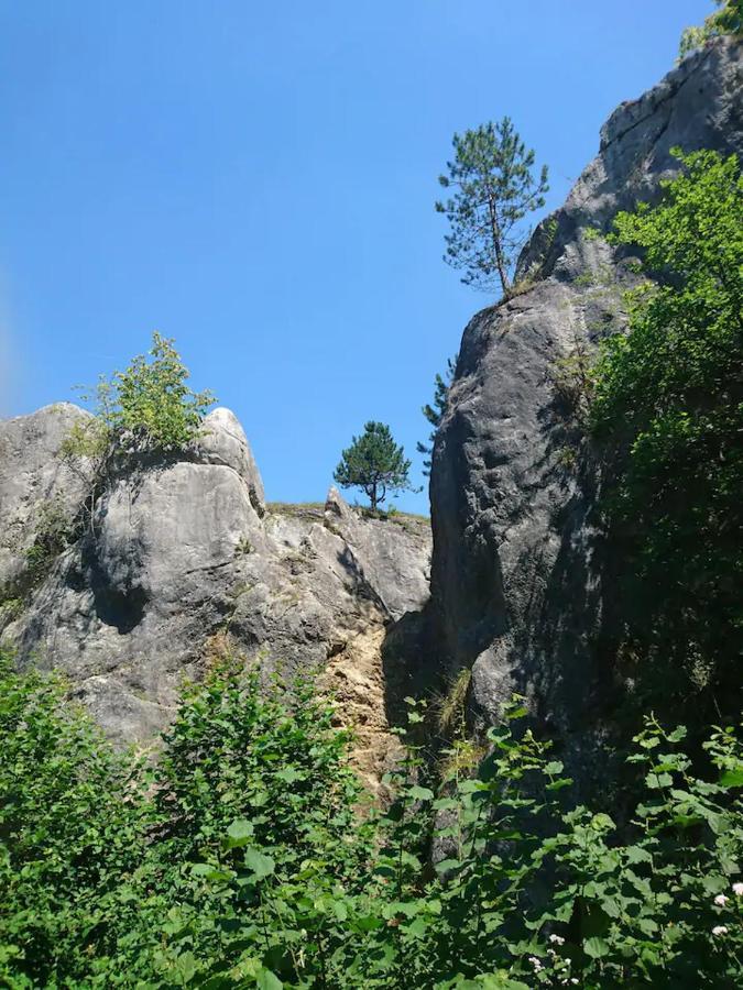 Patchou'S Cabane Willa Couvin Zewnętrze zdjęcie